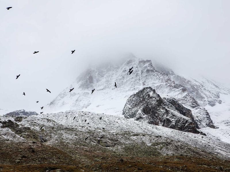 Mohammed Bin Rashid Library Unveils Major Hassan Sharif Archive