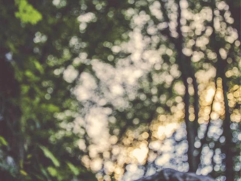 Moza Al Matrooshi: Grown Here