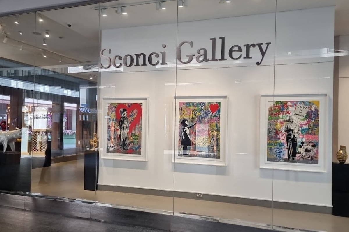 Soconci gallery